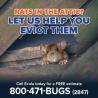 Find the Best Mice Control Solutions for Your Home Today