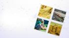 From Ordinary to Extraordinary: Garden & Landscape Supplies You Need