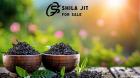 Shilajit For Wholesale