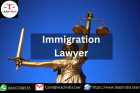 immigration lawyer