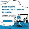 MegaSpark: The Best Digital Marketing Company in Noida for Innovative Result
