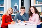 Migration Law Assignment Help Service In USA