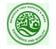 Neighbor Tree Service