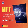 NFT Development Companies in the USA