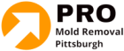 Pro Mold Removal Pittsburgh