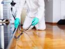 Professional Pest Removal in Los Angeles - Safe & Efficient Service