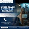 Professional Undercover Services in Gurgaon- City Inteligence