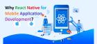 Why React Native for Mobile Application Development?