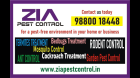 Zia Pest control service | Best service in Bangalore | Bedbug  | 1979