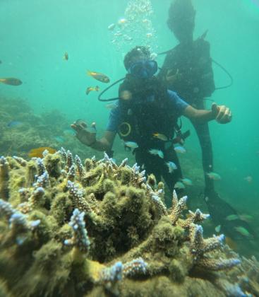 andaman and nicobar islands package from kerala