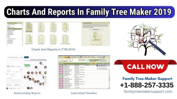 Charts And Reports In Family Tree Maker 2019 For Windows