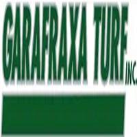 Expert Tree Planting Services in Guelph for a Greener Future