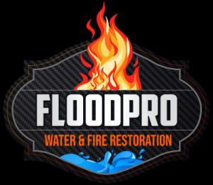 FloodPro