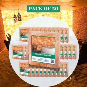 Himalayan Salt Block 8 x 8 x 1 | Pack of 50