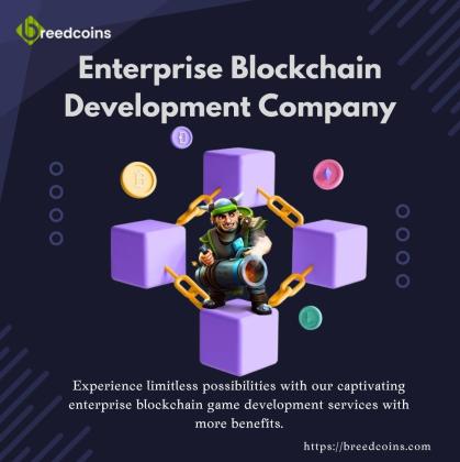 Hold your High tech services in Enterprise Blockchain Development