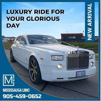 Mississauga Party Bus