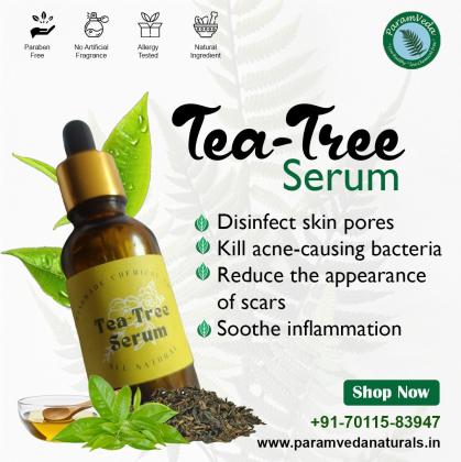 ParamvedaNaturals | Best Ayurvedic Skin Care Products in Ghaziabad