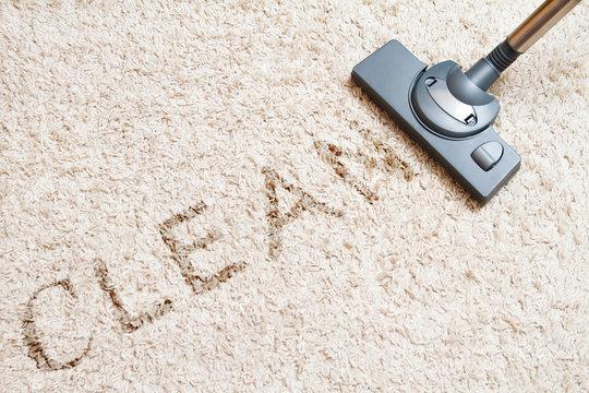 Professional Carpet Cleaning in Logan: Revitalize Your Home