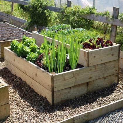 Programme Conception Potager | Logiciel Potager