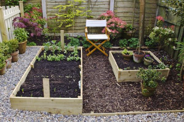 Programme Conception Potager | Logiciel Potager