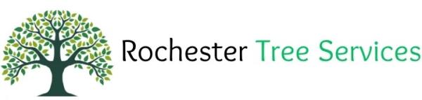 Rochester Tree Services