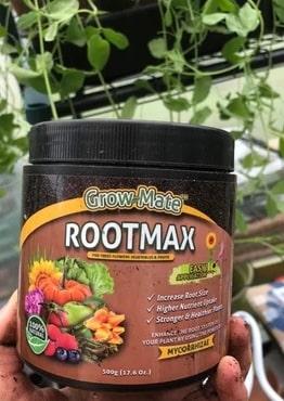 Shop Mycorrhizae Powder Online – Best Prices for Bulk Orders!