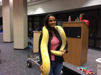 Snake Wizardry services in Lancaster TX | Snake Encounters