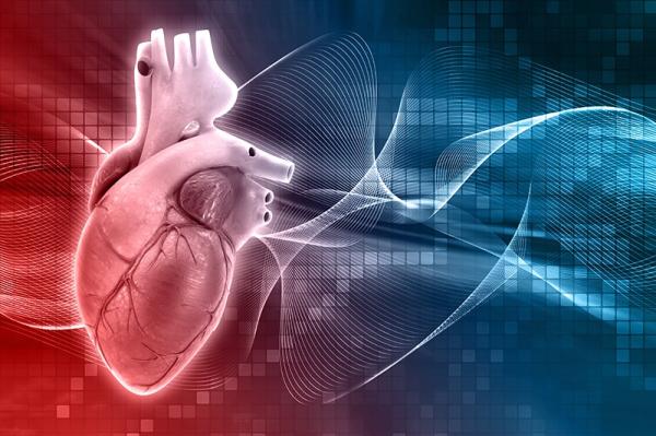 Specialized Cardiology Transcription Services