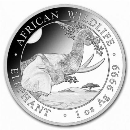 The Coin Shoppe