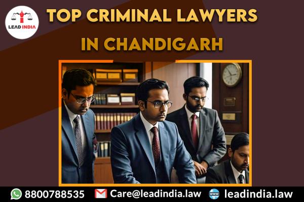 Top Criminal Lawyers In Chandigarh
