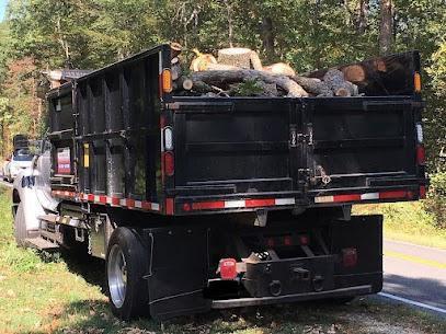 Tree trimming services near me | Tree Crew - Tree Experts