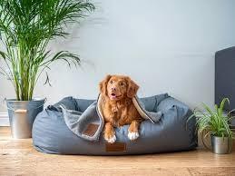 Trusted Veterinary Clinic in Chesapeake, VA