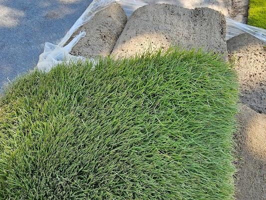 Turf Installation service in Cheraw SC | Turf Connections