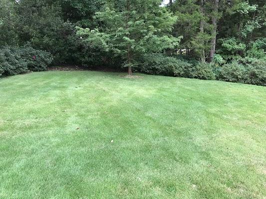 Turf Installation service in Cheraw SC | Turf Connections