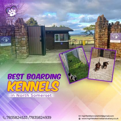 Visit The Best Boarding Kennels In North Somerset Today