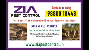 Rodent pest control services | designed to remove and prevent | 2075 |