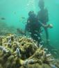 andaman and nicobar islands package from kerala