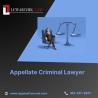 Appellate Criminal Lawyer | Expert Appeal Counsel in Chicago