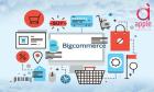 BigCommerce Themes & Templates for Online Stores by DIT Themes