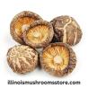 Buy Dried Mushrooms in Illinois