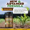 Buy Mycorrhizae Liquid Today – Get Certified Organic Products at Affordable Prices!
