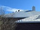 Commercial roofing services | Masters Roofing And Construction