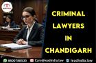 Criminal Lawyers In Chandigarh Lead India