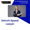 Detroit Appeal Lawyer | Compassionate Appeal Counsel in Chicago