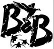 Duck Hunt Colorado - Birds and Bucks Outdoors