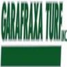 Expert Tree Planting Services in Guelph for a Greener Future