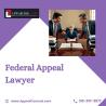 Federal Appeal Lawyer | Compassionate Appeal Counsel in Chicago
