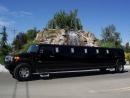 Limousine service in Detroit MI | AAA METRO Black cars