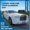 Mississauga Party Bus