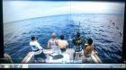 Open Boat Tile Fishing Charters in New York